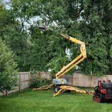  North Newton, KS Tree Services Pros